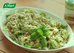 Sprossen-Avocado-Salat