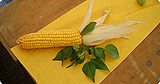 Cornelia Krapf-R�timann