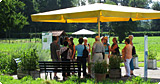 A.Vogel AktivClub: Club-Treffen vom 28.6.08