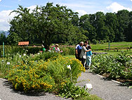 Erlebnisbesuche bei A.Vogel in Roggwil TG und Teufen AR
