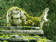 Impressionen aus der Bildergalerie