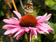 Impressionen aus der Bildergalerie