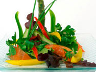 Nutrition - an important requirement for health