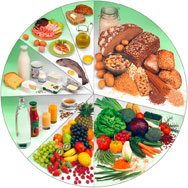 Vitamine & Mineralstoffe Vitamine & Mineralstoffe