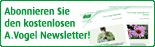 A.Vogel Newsletter