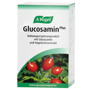 GlucosaminPlus