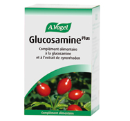 Glucosamine Plus