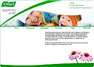 Immunsystem-Abwehrkräfte