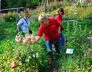 Erlebnis Heilkräutergarten Erlebnis Heilkräutergarten