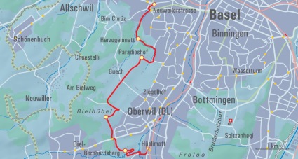 Weinbergtulpen: Wandern Baselbiet