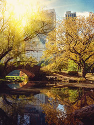 Fotowettbewerb: Stadt und Natur (Foto: 123RF/maglara) Fotowettbewerb Stadt und Natur