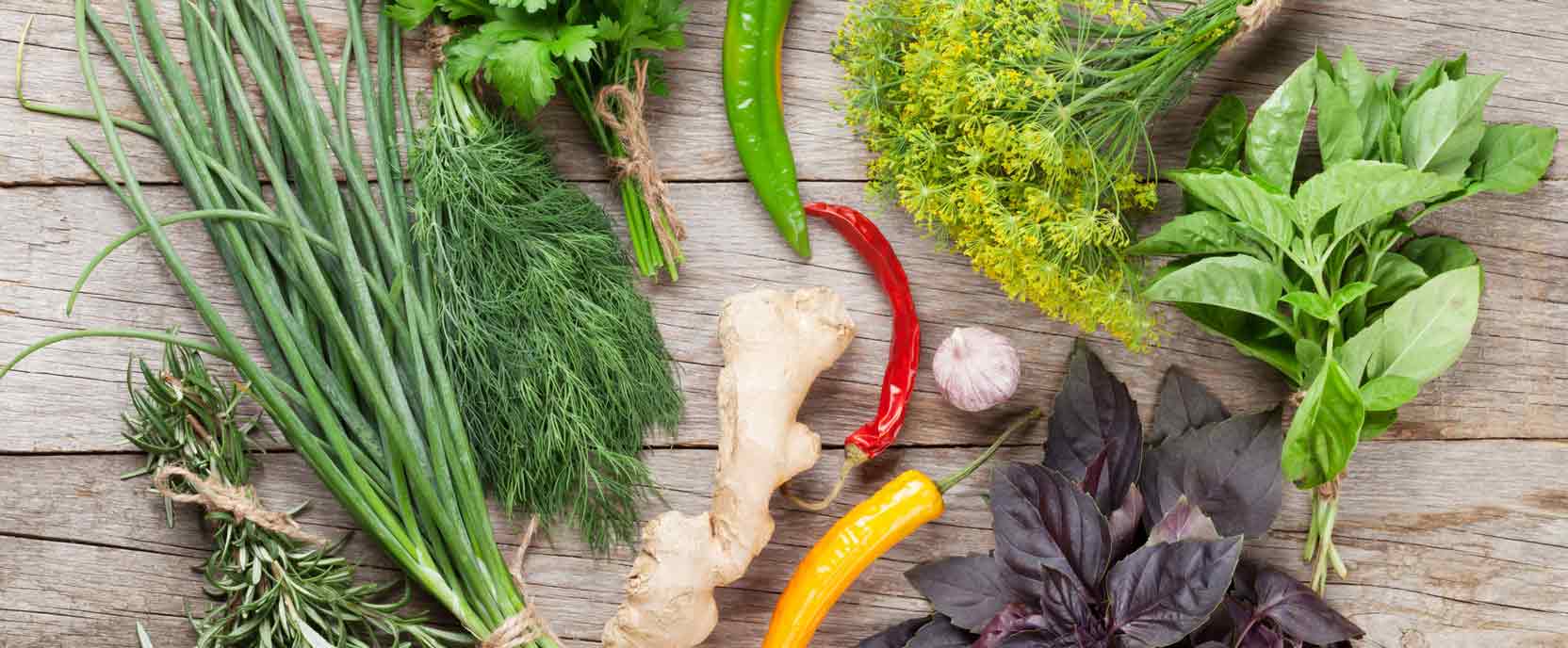 So gesund sind Kräuter und Gewürze A.Vogel