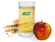 Ernährung nach Alfred Vogel 
 Ernährung nach Alfred Vogel 
