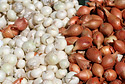 Zwiebeln Zwiebeln