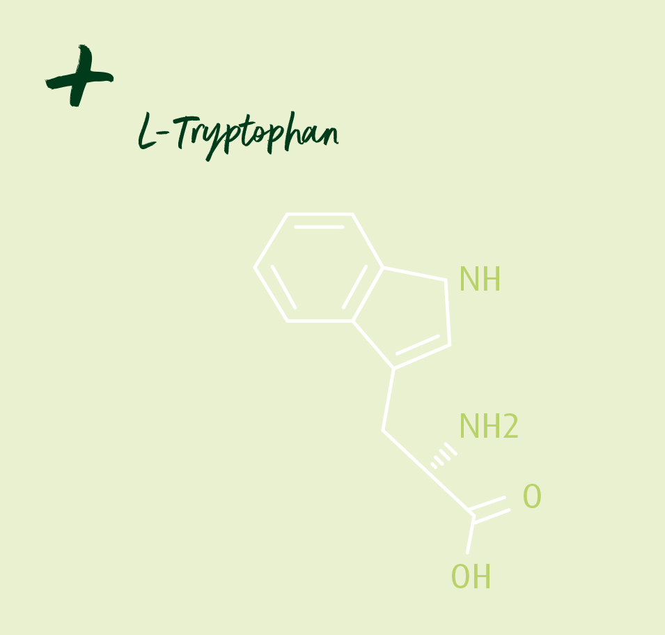 Tryptophan chemische Formel