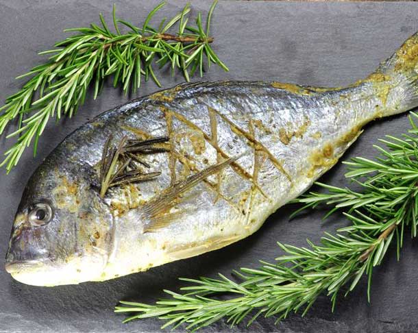 Les poissons gras contiennent de la Vitamine B12 (cobalamine)