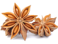 Illicium verum L. Sternanis