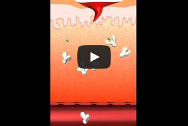 Système immunitaire (animation) Système immunitaire (animation)