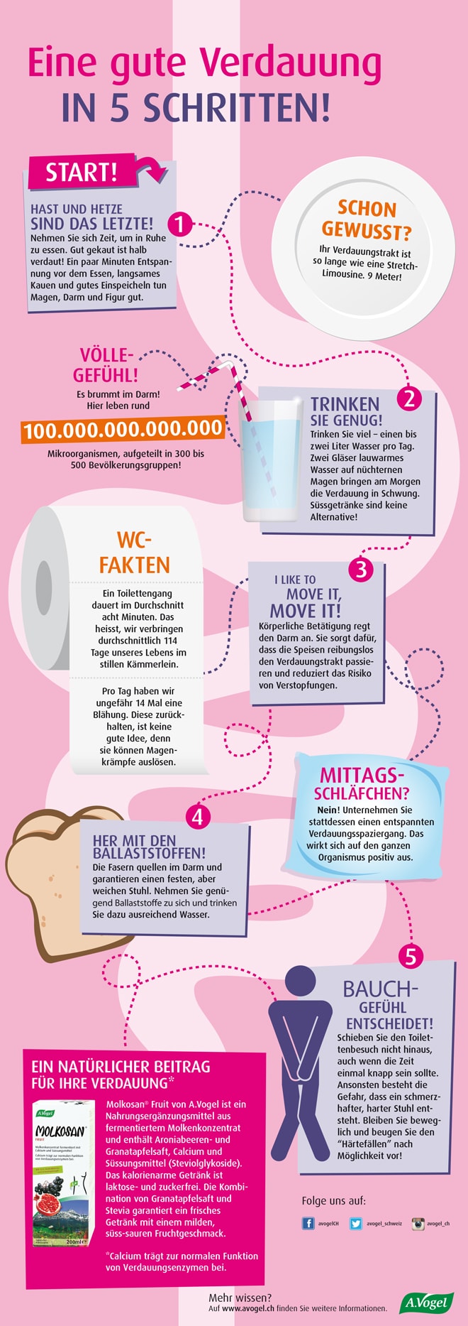 verdauung schmerzen