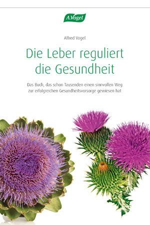 Die Leber reguliert die Gesundheit