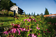 Heilkräutergarten von A.Vogel in Teufen (Appenzell Ausserrhoden) Heilkräutergarten von A.Vogel in Teufen (Appenzell Ausserrhoden)