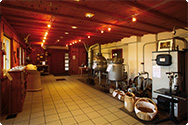 Besuchen Sie das A.Vogel-Museum in Teufen AR Besuchen Sie das A.Vogel-Museum in Teufen AR