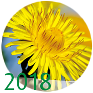 Der Heilpfanzenkalnder 2018 Heilpfanzenkalnder 2018