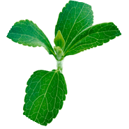 Stevia Zuckeralternative