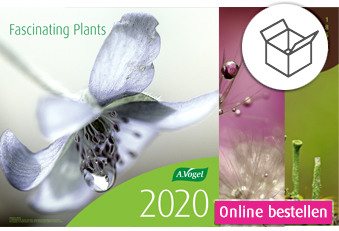 A.Vogel Pflanzenkalender 2020