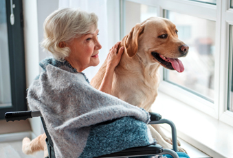 Frau im Rollstuhl mit Hund