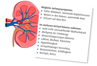 Grafik und Symptomübersicht bei Nierenschwäche