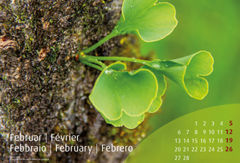 A.Vogel Pflanzenkalender Februar