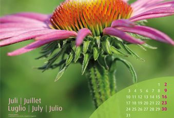 A.Vogel Pflanzenkalender Juli