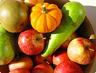 Les meilleures sources de vitamines Les meilleures sources de vitamines