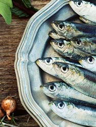 Alimentation: le poisson est-il encore autorisé? (Foto: 123RF, Nikkiphoto) Alimentation: le poisson est-il encore autorisé?