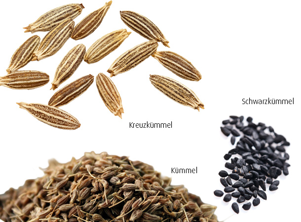 Kümmel, Kreuzkümmel und Schwarzkümmel im Vergleich (Foto: 123RF/Fotolia) Kümmel, Kreuzkümmel und Schwarzkümmel