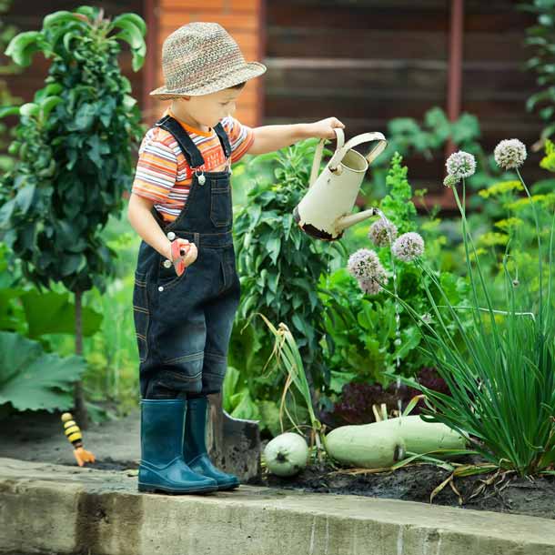 Junge Garten