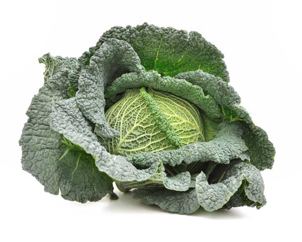 Kohl, Wirsing (Bild: dreamstime) Kohl