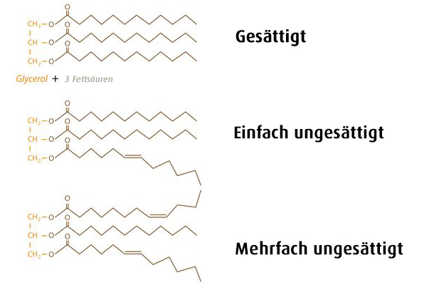 Einfach Und Mehrfach Ungesättigte Fettsäuren Wie gesund ist Fett? | A.Vogel
