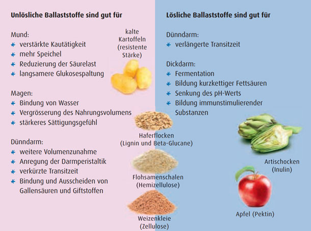 Wozu sind lösliche und wozu unlösliche Ballaststoffe gut?