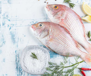 Le poisson augmente Le poisson augmente
