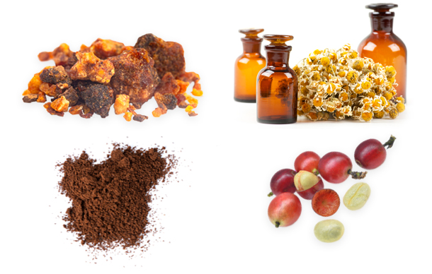 Kombinationspräparat aus Myrrhe, Kamillenöl in getrockneter Form und Kaffeekohle.