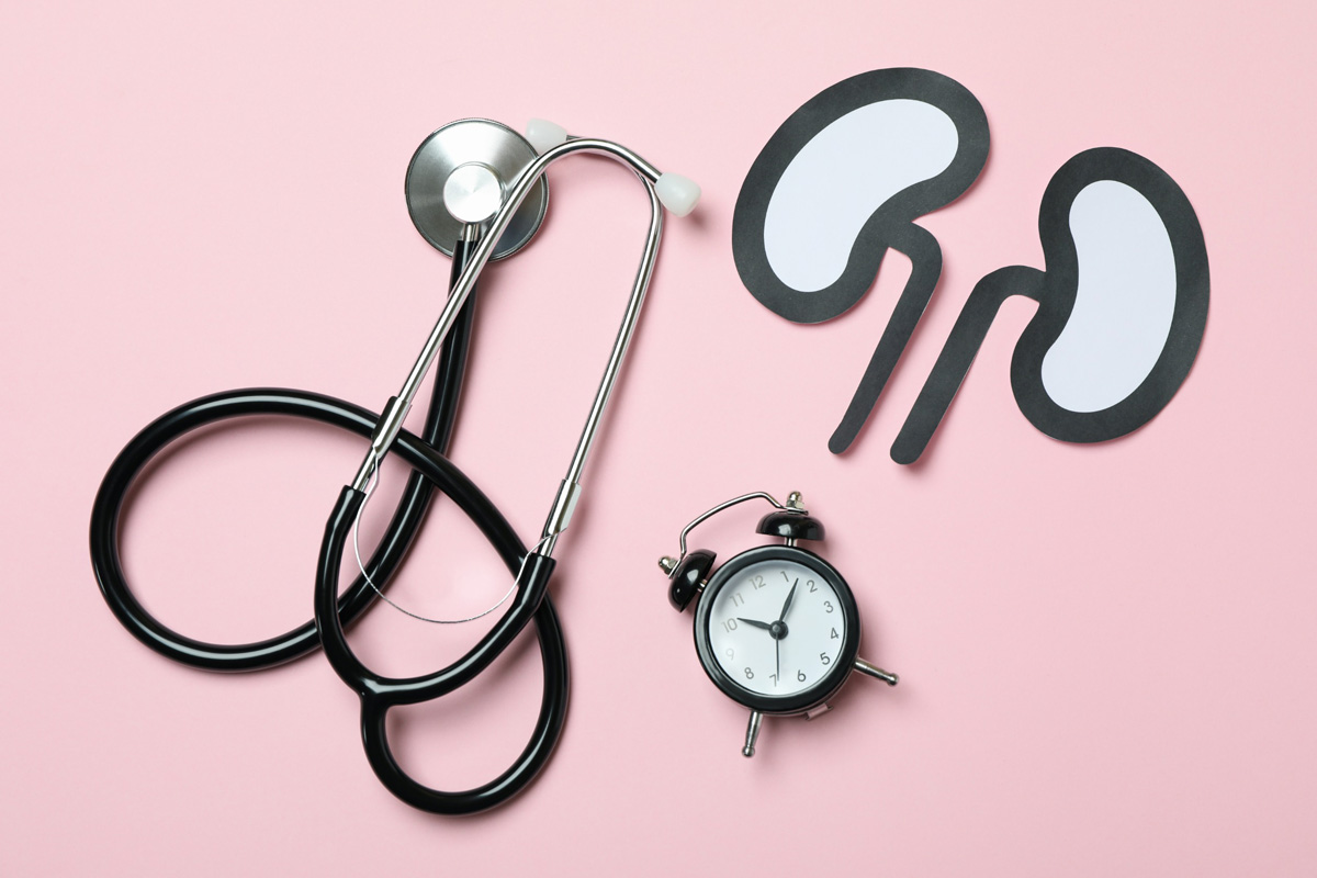 Studiofoto: Auf rosa Hintergrund liegen Nieren, stilisiert aus Papier und ein Stethoskop, räpresentativ für den Arztbesuch und ein Wecker für die Früherkennung.