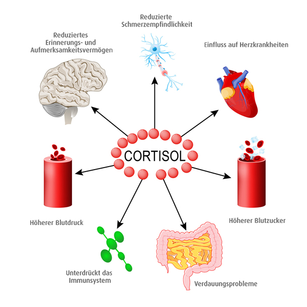 Grafik Cortisol, Stresshormon