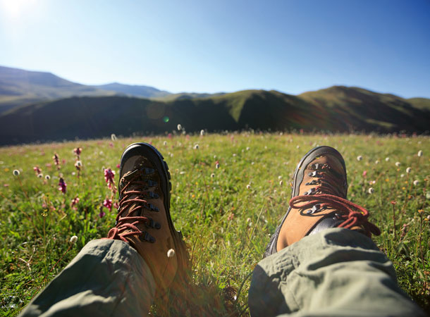 Wanderbeine auf einer Wiese