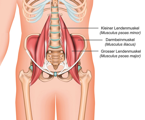 Grafik Psoas