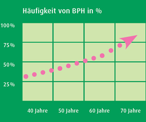 Prostatahyperblasie Häufigkeit