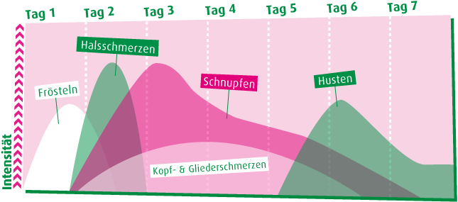 Möglicher Verlauf einer Erkältung von Tag 1 mit beginnendem Frösteln bis zu Tag 7 zum Husten mit Auswurf.