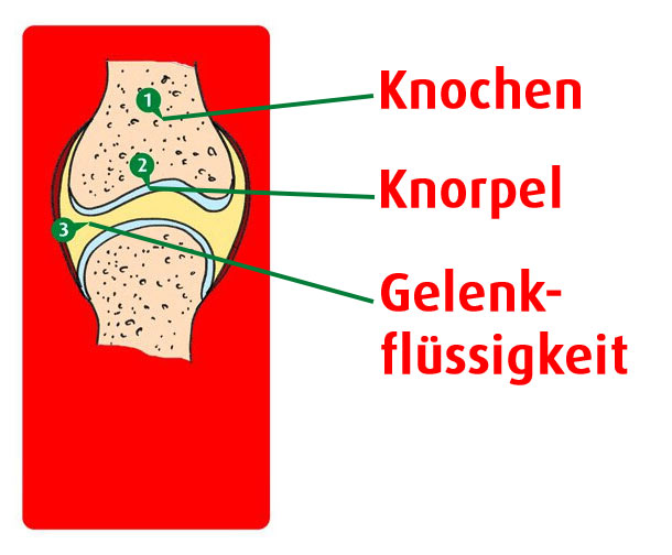 Gelenk Grafik