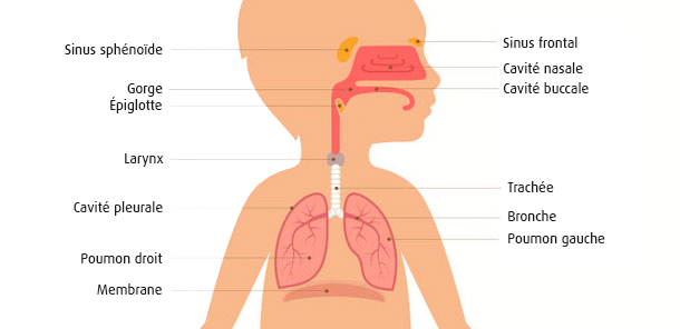 Mal de gorge: quelles sont les causes possibles?